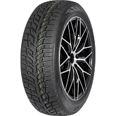 Autogreen Snow Chaser 2 AW08 205/55 R16 91H